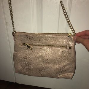 Snake skin purse